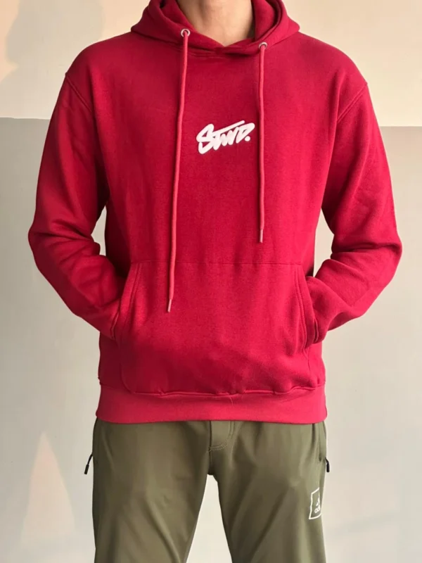 Men’s premium fleece hoodie with puff printed logo